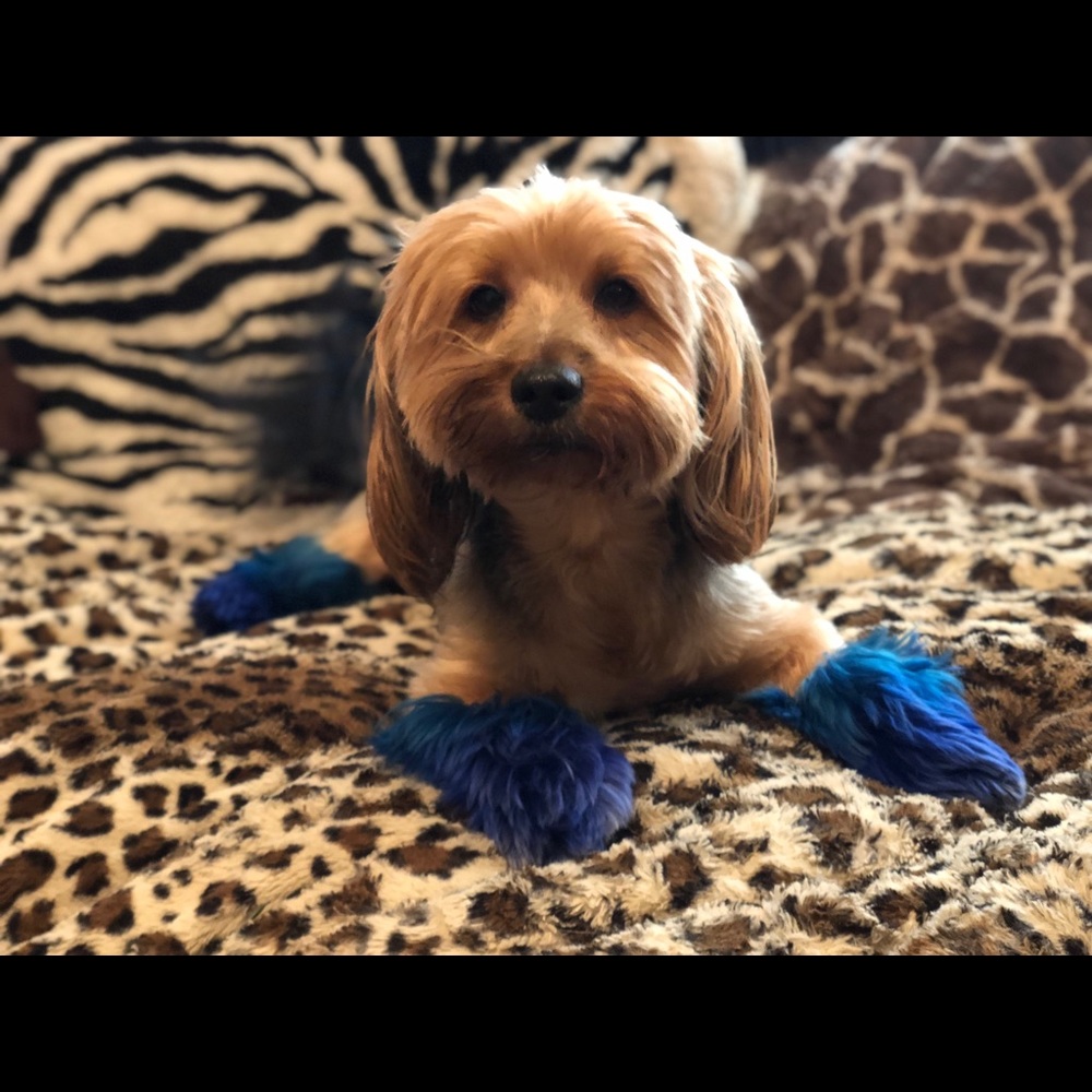 Meet your Posher, Aforo